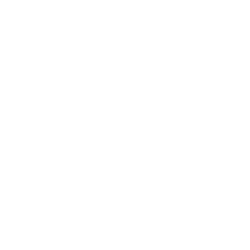 Divergence Academy